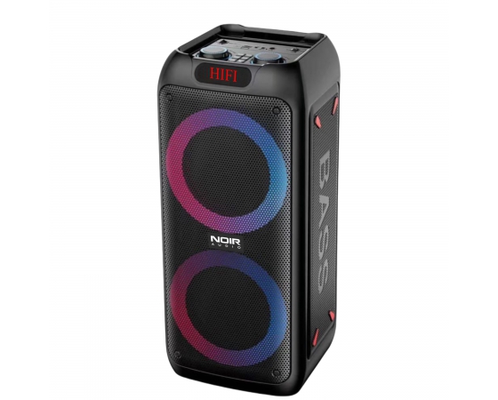 Акустическая система Noir-audio MAX-100
